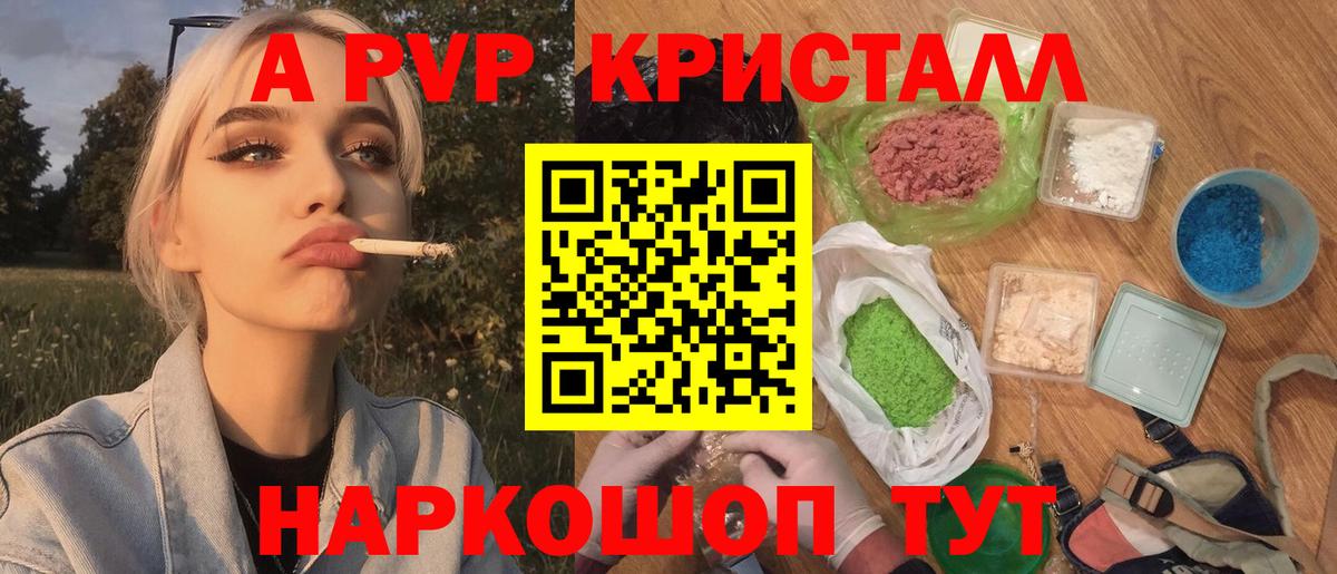 A PVP СК КРИС Шебекино