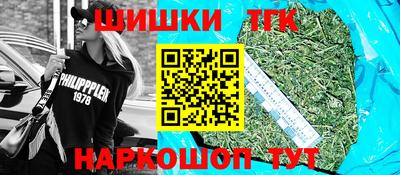 амф Кингисепп