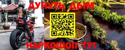 амф Кингисепп